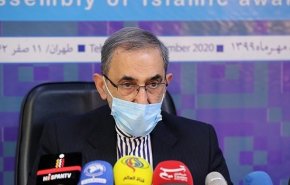 ولايتي: التطرف والاساءة للنبي (ص) وجهان لعملة واحدة 