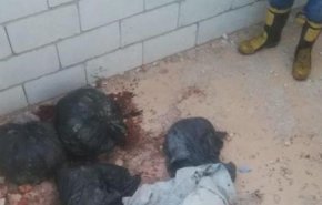 كشف ملابسات جريمة قتل مروعة في لبنان