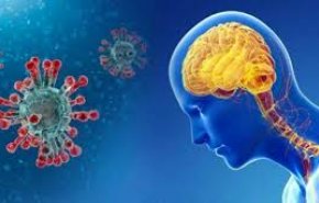هذه الأمراض تدمر الدماغ