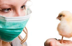 ألمانيا تسجل عدة حالات إصابة بإنفلونزا الطيور
