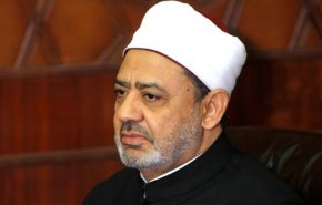 شيخ الأزهر: سوف نتتبع من يسئ لنبينا الأكرم في المحاكم الدولية