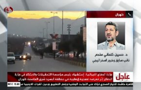 شاهد محلل سياسي: عجزوا امام ايران فاغتالوا فخري زادة