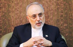 صالحي : دم الشهيد فخري زادة سيقوي الجمهورية الاسلامية