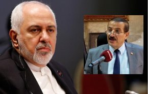 وزير الخارجية اليمني يعزي باستشهاد العالم الإيراني محسن فخري زاده