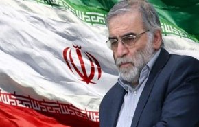 على المجتمع الدولي التعاون في ملاحقة مرتكبي اغتيال الشهيد فخري زاده