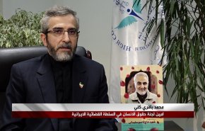 لجنة حقوق الانسان في ايران: ايران لن تتنازل عن حقها في ملاحقة الجناة بأي حال