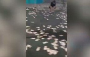 شاهد بالفيديو.. عصابة تسطو على بنك وتنثر الأموال في الشارع 