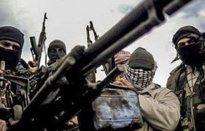 فضائح تورط الحكومة الهولندية بدعم الإرهاب في سوريا تتوالى
