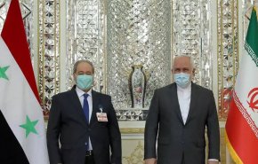 شاهد.. المقداد يشيد بدعم إيران المستمر لسوريا في مكافحة الإرهاب