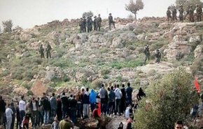 شاهد..عنترية مستوطن ضد الفلسطينيين
