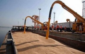ما حقيقة اختفاء 500 طن من حمولة باخرة قمح بمرفأ اللاذقية؟