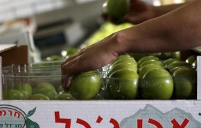 الامارات ترتكب جناية بحق الفلسطينيين لم يفعلها حتى يهود اوروبا