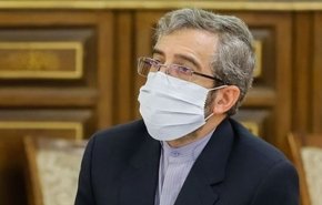 حقوقي ايراني: اعتماد أهداف الشهداء سليماني وفخري زاده يصون المصالح الوطنية  