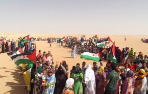 هل ستؤجج التغريدة الترامبية التي باعت مالا يملكه الشعب الصحراوي؟