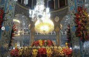حسبُ ذكراكِ زينبَ الطُّهرِ درساً