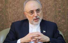 صالحي: جميع شؤون صناعتنا النووية تشهد تقدما