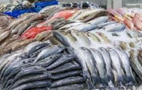 خلال عيد الميلاد.. غلاء فاحش باسعار الاسماك في الاسواق السورية 
