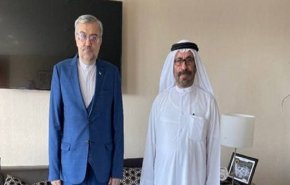 لقاء سياسي ايراني اماراتي بنّاء 