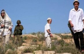 2020 كان الاصعب على الفلسطينيين في ظل تصاعد النشاط الاستيطاني