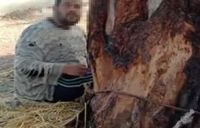 بالفيديو.. أم تقيد ابنها في شجرة منذ 15 عامًا  في مصر لسبب غريب!
