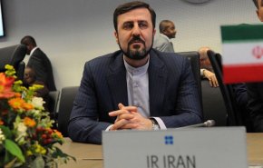 غريب آبادي يکشف اسباب إقرار قانون 