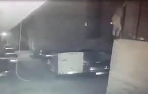 بالفيديو.. هروب 3 مساجين محكوم عليهم بالإعدام في مصر