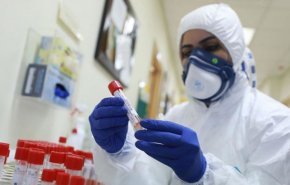 فلسطين: 13وفاة و427 إصابة جديدة بكورونا خلال الـ24 ساعة