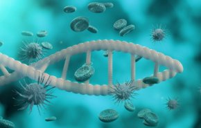 اختبار DNA يحدد درجة الالتهاب الرئوي لدى المصابين بكورونا