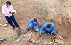 العراق.. كشف تفاصيل جديدة عن مقبرة الاسحاقي الجماعية