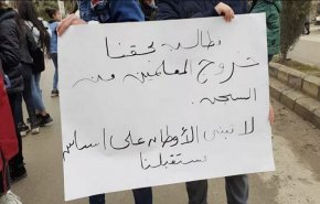بالفيديو.. 