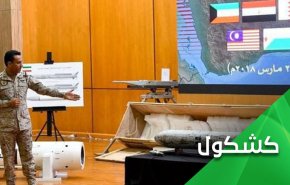 صاروخ إبن سلمان الذي إنفجر فوق الرياض والعصافير التي إستهدفها!