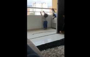 بالفيديو... قطة تنقذ رضيعا من الموت