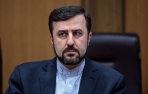 ايران تنتقد سلبية المنظمات الدولية والدول في مكافحة المخدرات

