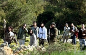 مستوطنون يزرعون أشجارا في أراض بالخليل للاستيلاء عليها