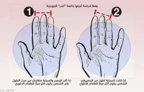 دراسة تكشف علاقة غريبة بين أصابع اليد وتفضيلات الطعام