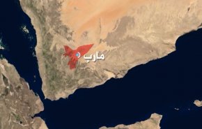جريمة جديدة لمرتزقة العدوان: اختطاف سبع نساء في مأرب