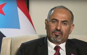 المجلس الانتقالي الجنوبي: لا مانع من التطبيع مع 'إسرائيل'