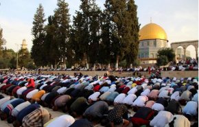 بعد 40 يوماً من الإغلاق ..'الأقصى' يستنجد حمايته بشد الرحال