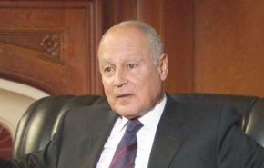 أبو الغيط: الفلسطينيون أوشكوا على فقد الثقة في حل الدولتين