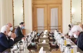 شاهد:غريفيث يشيد بالدور الإيراني في إرساءالسلام باليمن