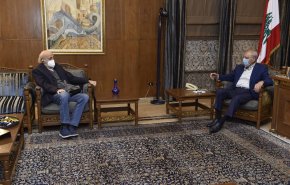 لبنان.. نبيه بري يعرض مع جنبلاط الوضع الحكومي وآخر المستجدات السياسية