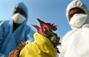 تسجيل أول حالة انتقال لسلالة من 