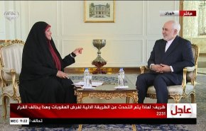 شاهد.. ظريف يطالب الوكالة الذرية بالحفاظ على سرية المعلومات 