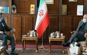 ظريف يستقبل المدير العام للوكالة الدولية للطاقة الذرية