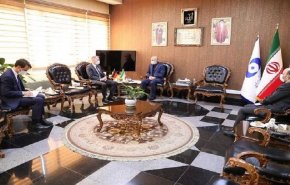 صالحي يستقبل السفير الألماني في طهران 