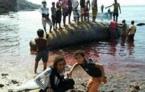 صيادون 