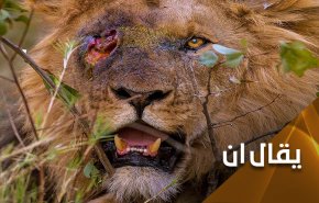 بايدن.. اطفئ نرجسيتك وتصرف بمنطق العقل وإلّا.. فالقادم أعظم