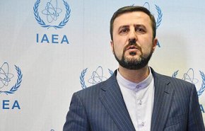 الترويكا الاوروبية اتاحت لنفسها الفرصة بوقف القرار في مجلس الحكام