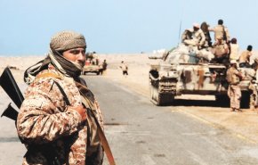 شاهد/ الاستخبارات اليمنية تكشف تفاصيل دقيقة عن نشاط 