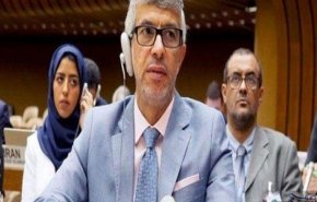رسالة لمفوضة حقوق الإنسان تشكو صواريخ انصار الله وطائراتهم المسيرة!
